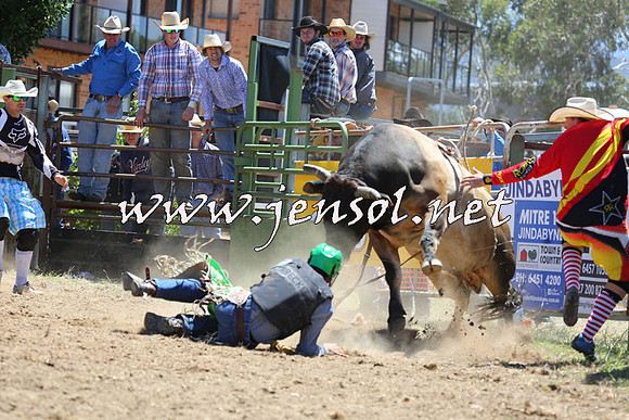 JindabyneRodeo2015_1103