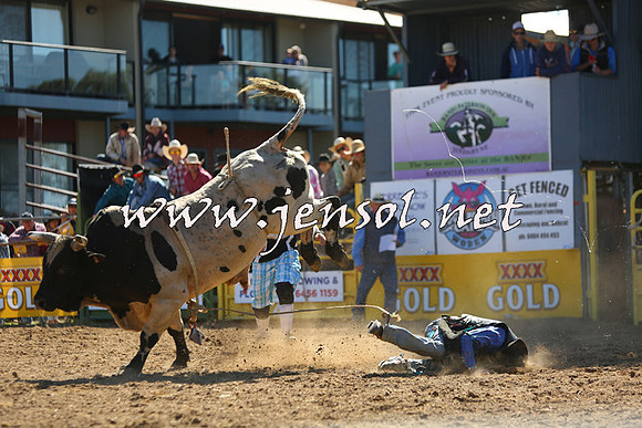JindabyneRodeo2015_2143