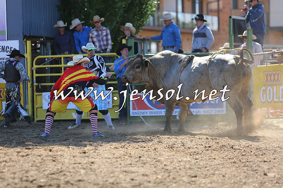 JindabyneRodeo2015_2064