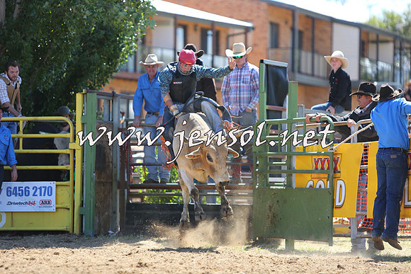 JindabyneRodeo2015_1592