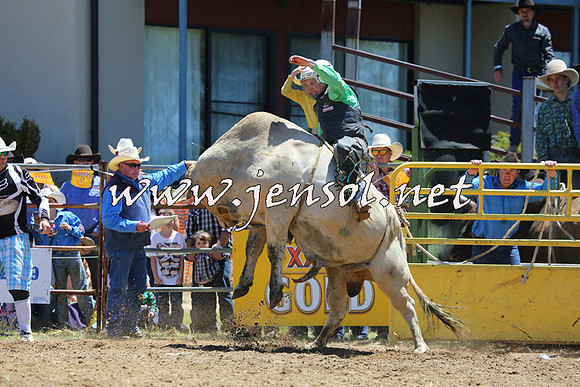 JindabyneRodeo2015_0958