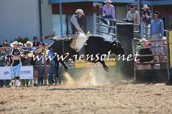 JindabyneRodeo2015_2103