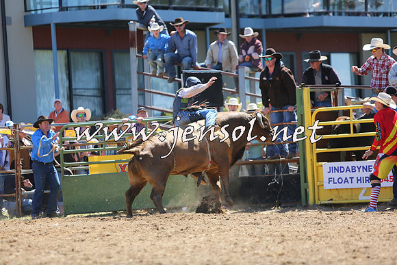 JindabyneRodeo2015_1603
