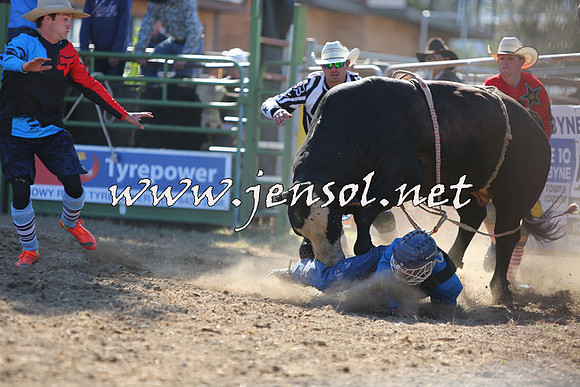 JindabyneRodeo2015_2296