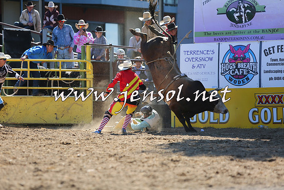JindabyneRodeo2015_2090