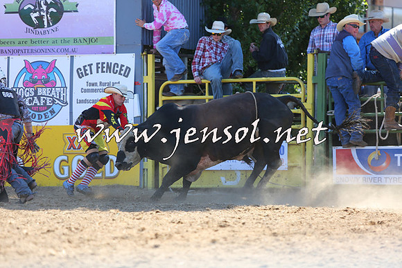 JindabyneRodeo2015_1736