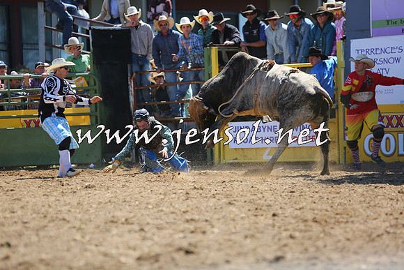 JindabyneRodeo2015_1696