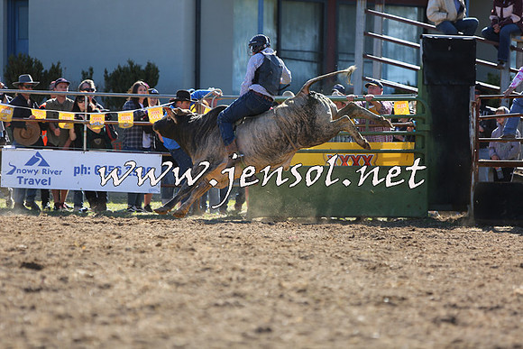 JindabyneRodeo2015_2359