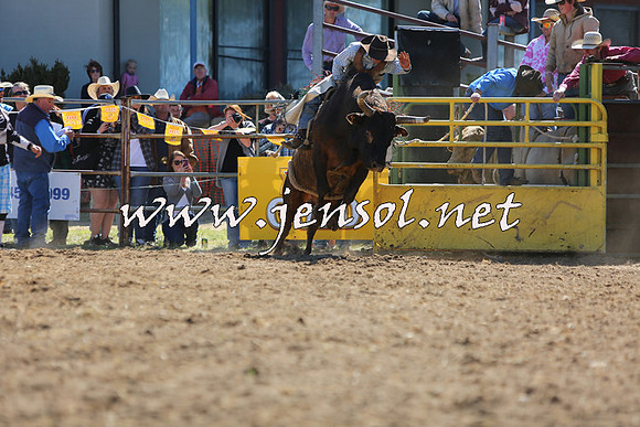 JindabyneRodeo2015_1948