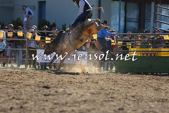 JindabyneRodeo2015_2363