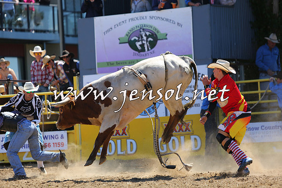 JindabyneRodeo2015_1588