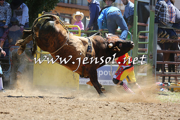 JindabyneRodeo2015_1123