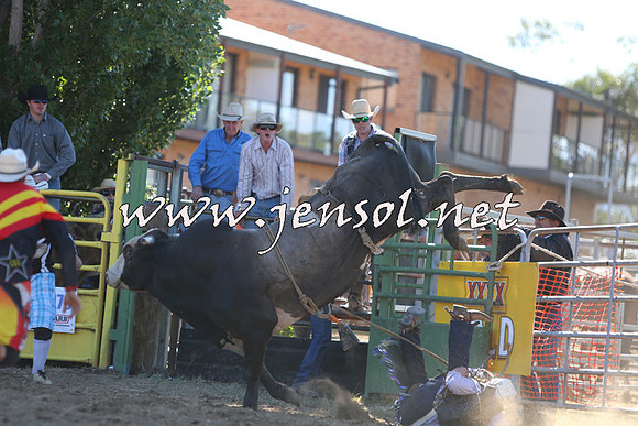JindabyneRodeo2015_2319