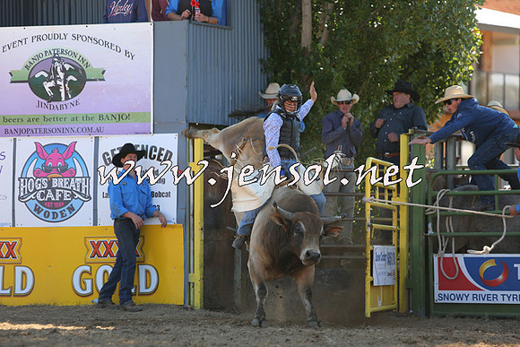 JindabyneRodeo2015_2005