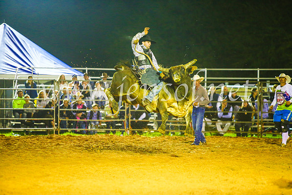 CamdenShowRodeo2017_2111