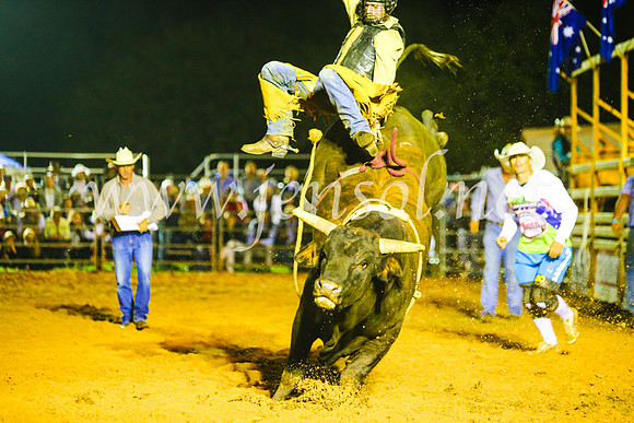 CamdenShowRodeo2017_1558
