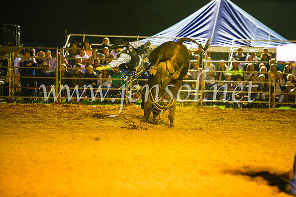 CamdenShowRodeo2017_1012