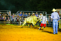 CamdenShowRodeo2017_0302