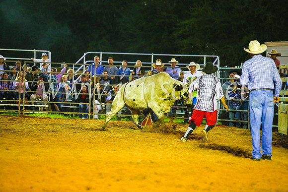 CamdenShowRodeo2017_0302