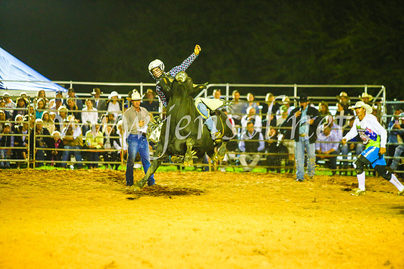 CamdenShowRodeo2017_1578