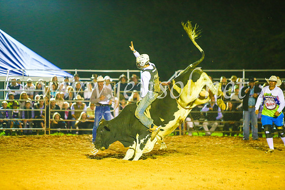 CamdenShowRodeo2017_1606