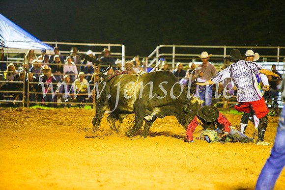 CamdenShowRodeo2017_2086