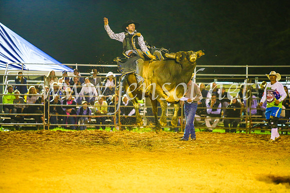 CamdenShowRodeo2017_2098