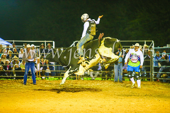 CamdenShowRodeo2017_1616