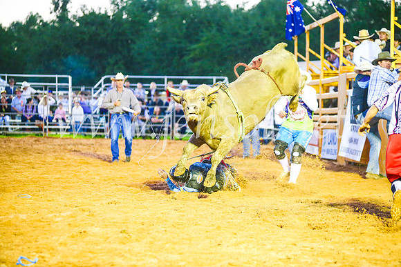CamdenShowRodeo2017_0242
