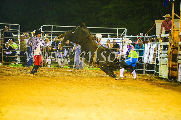 CamdenShowRodeo2017_2155