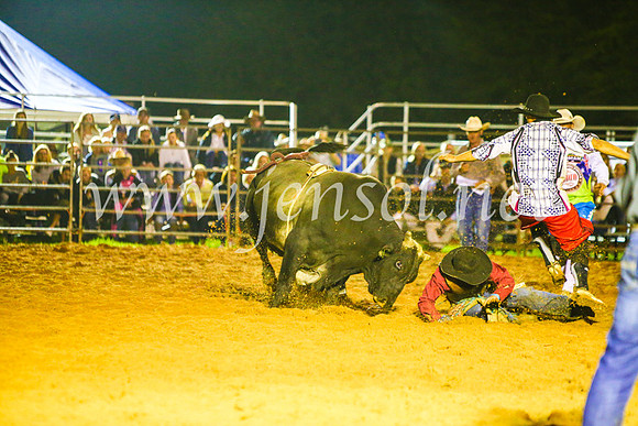 CamdenShowRodeo2017_2082