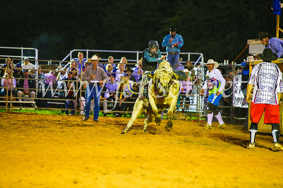 CamdenShowRodeo2017_0304