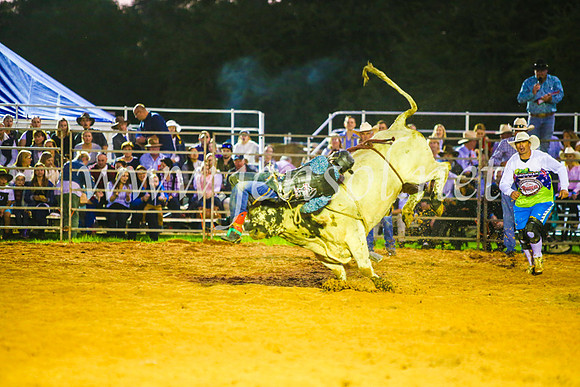 CamdenShowRodeo2017_0316