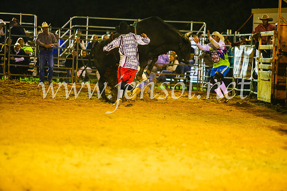 CamdenShowRodeo2017_2143