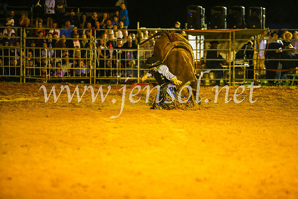 CamdenShowRodeo2017_1037