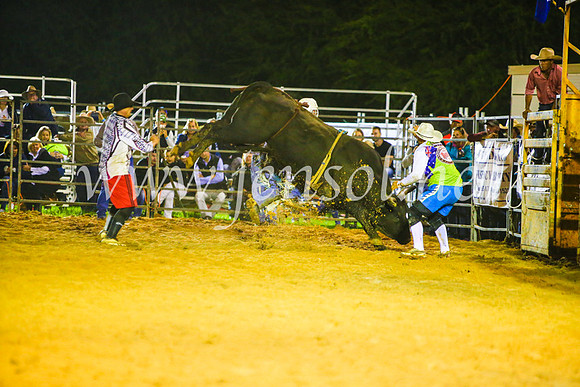 CamdenShowRodeo2017_2154