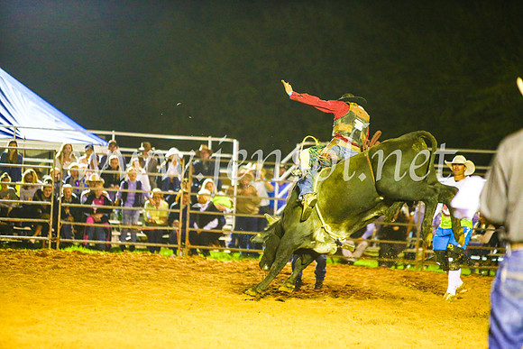 CamdenShowRodeo2017_2044
