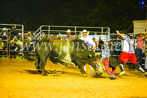 CamdenShowRodeo2017_2090