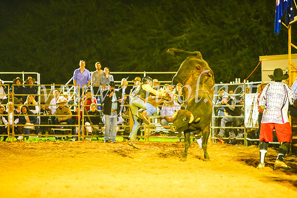 CamdenShowRodeo2017_1642