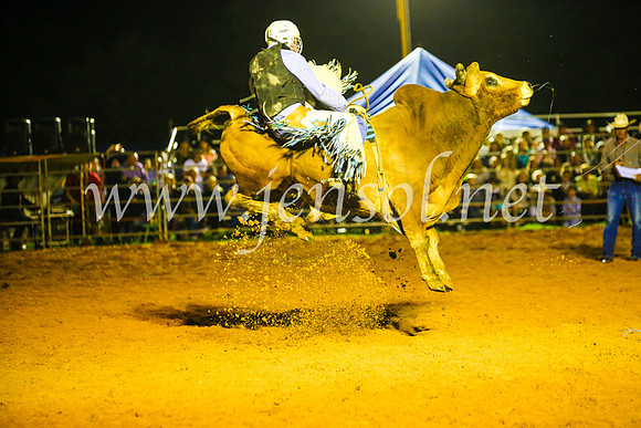 CamdenShowRodeo2017_1117