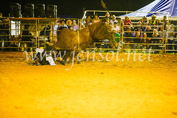 CamdenShowRodeo2017_1022