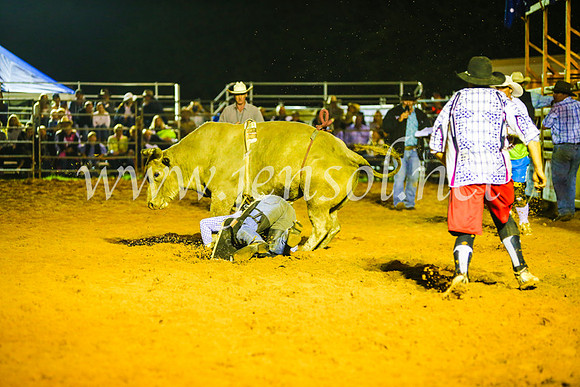 CamdenShowRodeo2017_2023