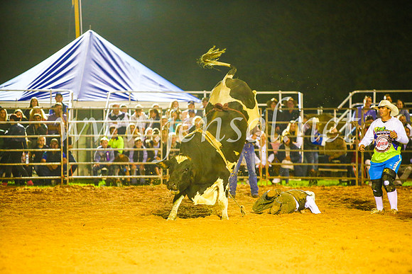 CamdenShowRodeo2017_1633