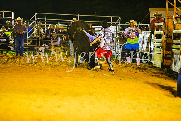 CamdenShowRodeo2017_2149