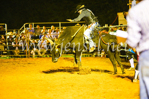 CamdenShowRodeo2017_1051