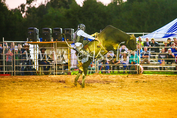 CamdenShowRodeo2017_0283