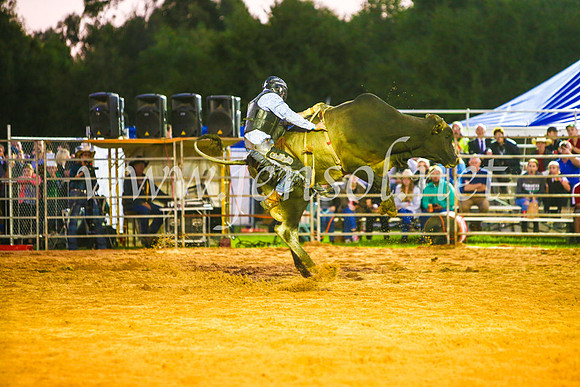 CamdenShowRodeo2017_0292