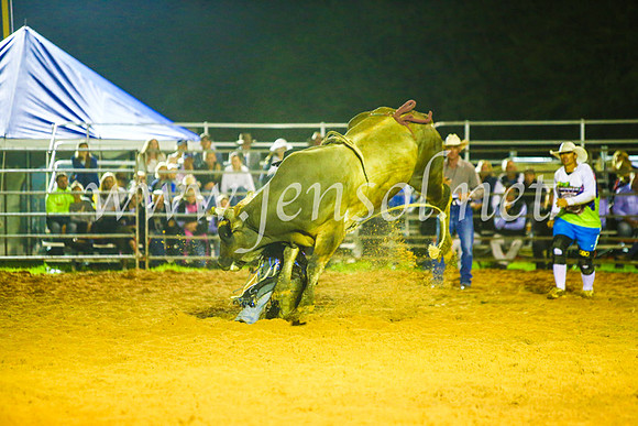 CamdenShowRodeo2017_2127