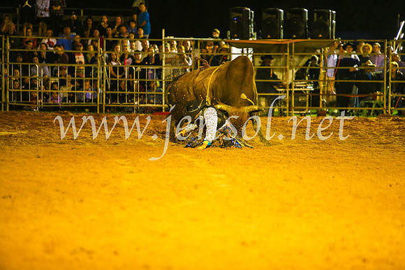 CamdenShowRodeo2017_1017
