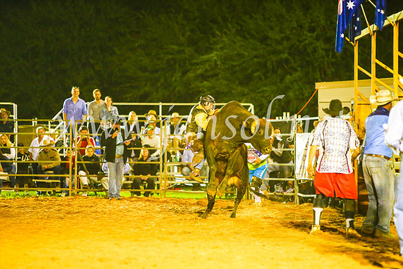 CamdenShowRodeo2017_1648
